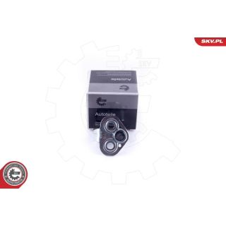 Durų sklendė ESEN SKV 96SKV769