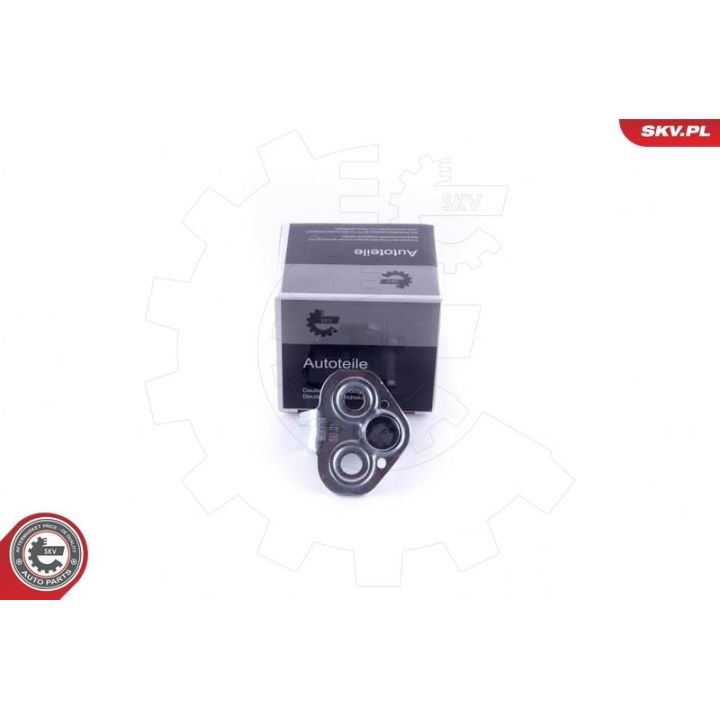 Durų sklendė ESEN SKV 96SKV769