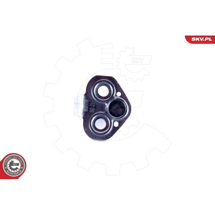 Durų sklendė ESEN SKV 96SKV769