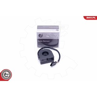 Vairavimo kampo jutiklis ESEN SKV 17SKV472