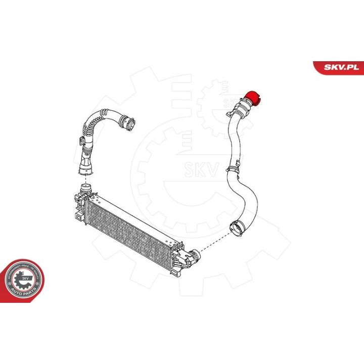 Kompresoriaus padavimo žarna ESEN SKV 24SKV797