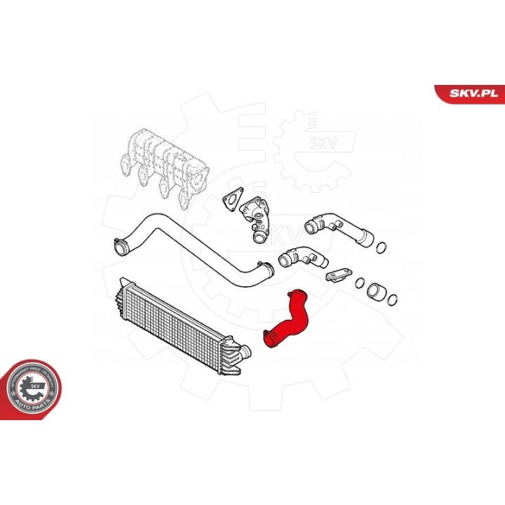 Kompresoriaus padavimo žarna ESEN SKV 43SKV068