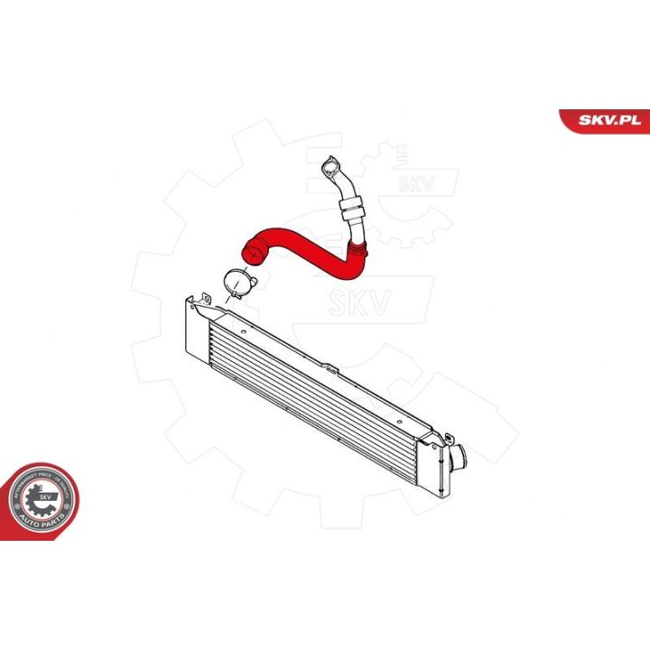Kompresoriaus padavimo žarna ESEN SKV 43SKV154
