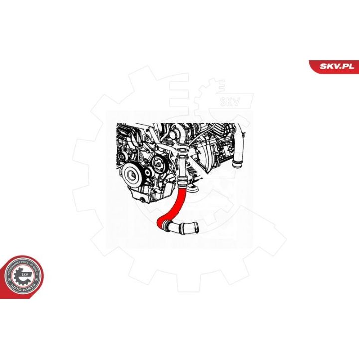 Kompresoriaus padavimo žarna ESEN SKV 43SKV164