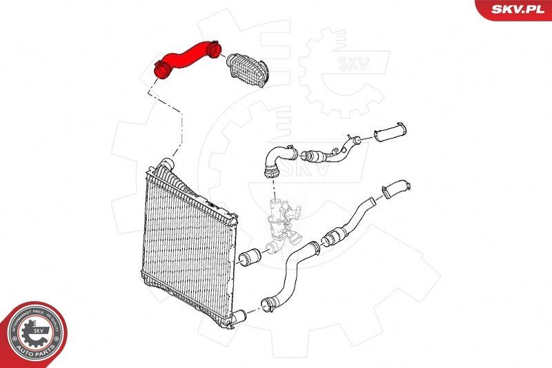 Kompresoriaus padavimo žarna ESEN SKV 43SKV356