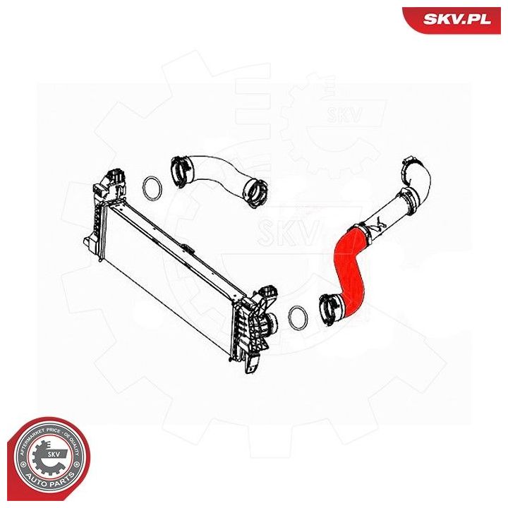 Kompresoriaus padavimo žarna ESEN SKV 43SKV436