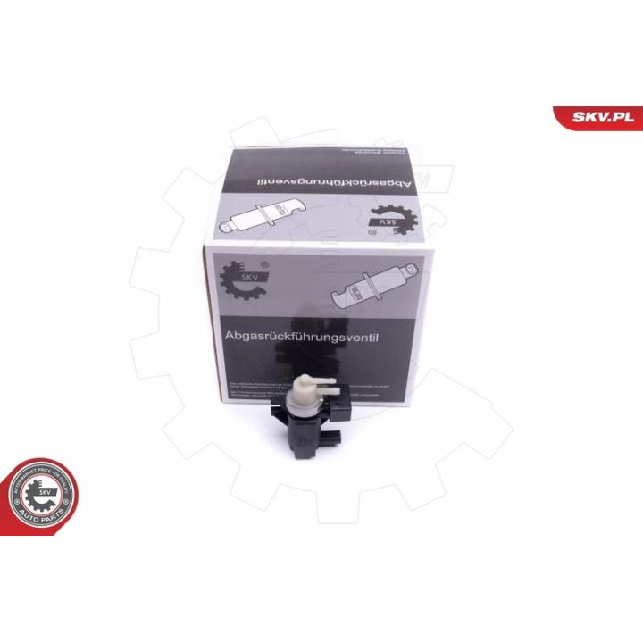 Slėgio keitiklis, turboįkrova ESEN SKV 14SKV915