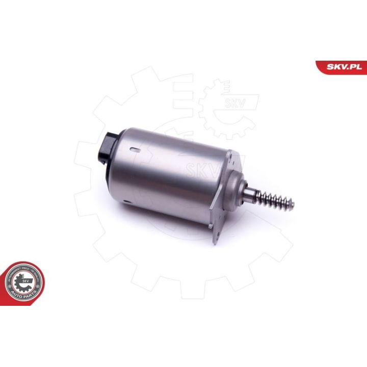 Pavara, ekscentrinis velenas (kint. vožtuvų pakėlimas) ESEN SKV 96SKV087