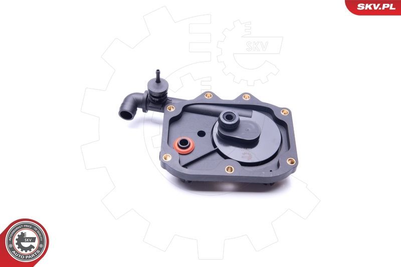 Vožtuvas, variklio bloko alsuoklis ESEN SKV 31SKV068