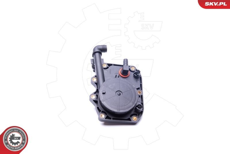 Vožtuvas, variklio bloko alsuoklis ESEN SKV 31SKV068