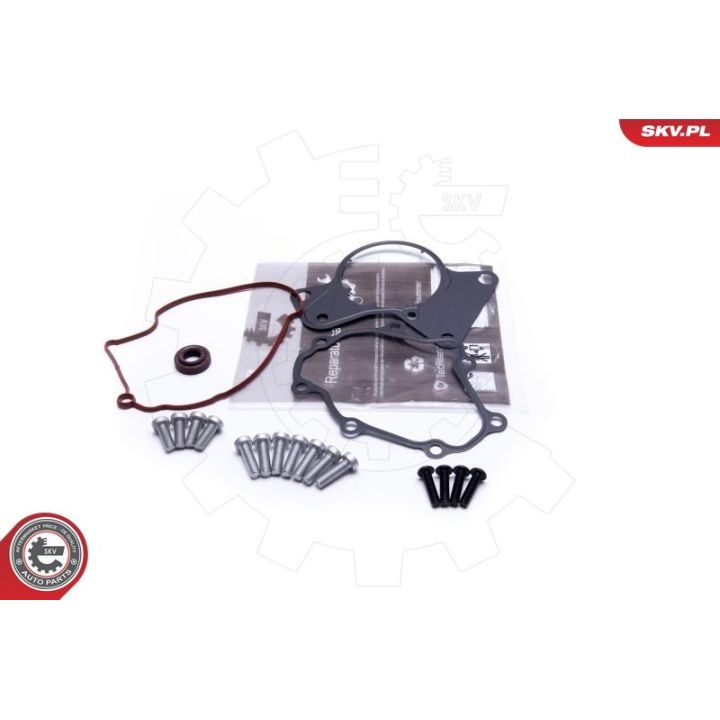 Remonto komplektas, vakuumo siurblys (stabdymo įrenginys) ESEN SKV 18SKV802