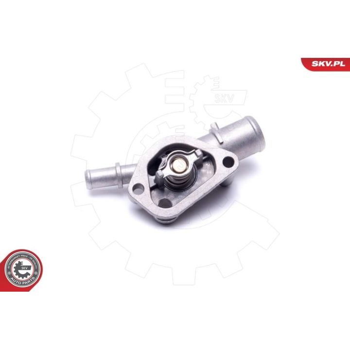 Termostatas, aušinimo skystis ESEN SKV 20SKV167