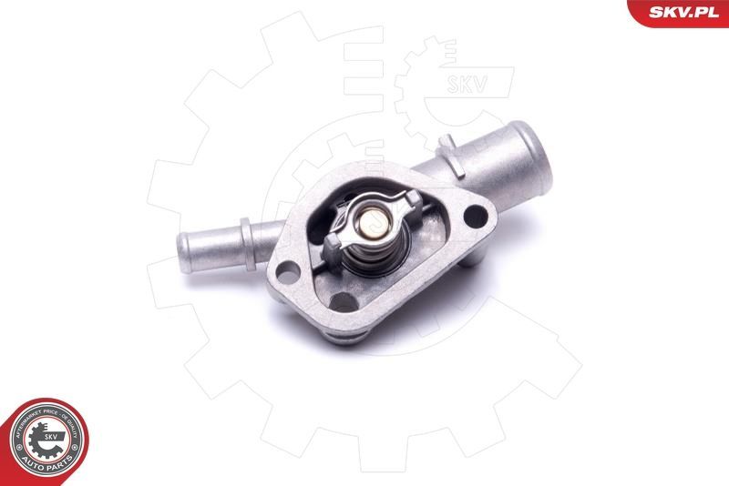 Termostatas, aušinimo skystis ESEN SKV 20SKV167