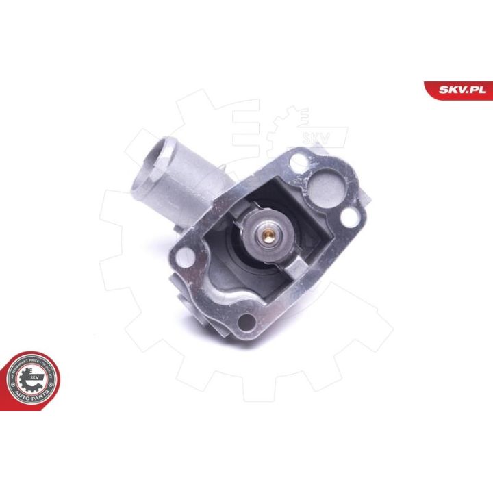 Termostatas, aušinimo skystis ESEN SKV 20SKV168