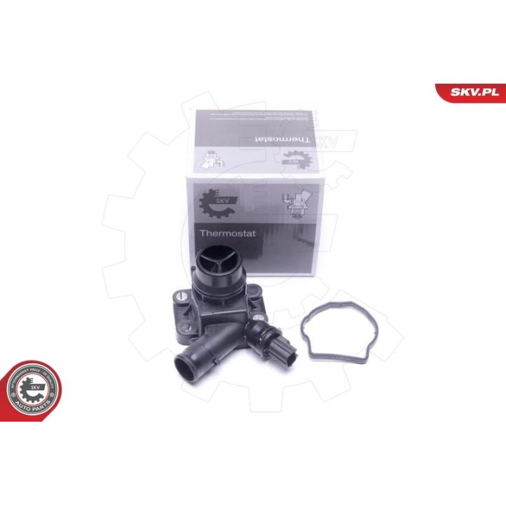 Termostatas, aušinimo skystis ESEN SKV 20SKV170