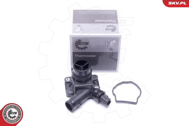 Termostatas, aušinimo skystis ESEN SKV 20SKV170