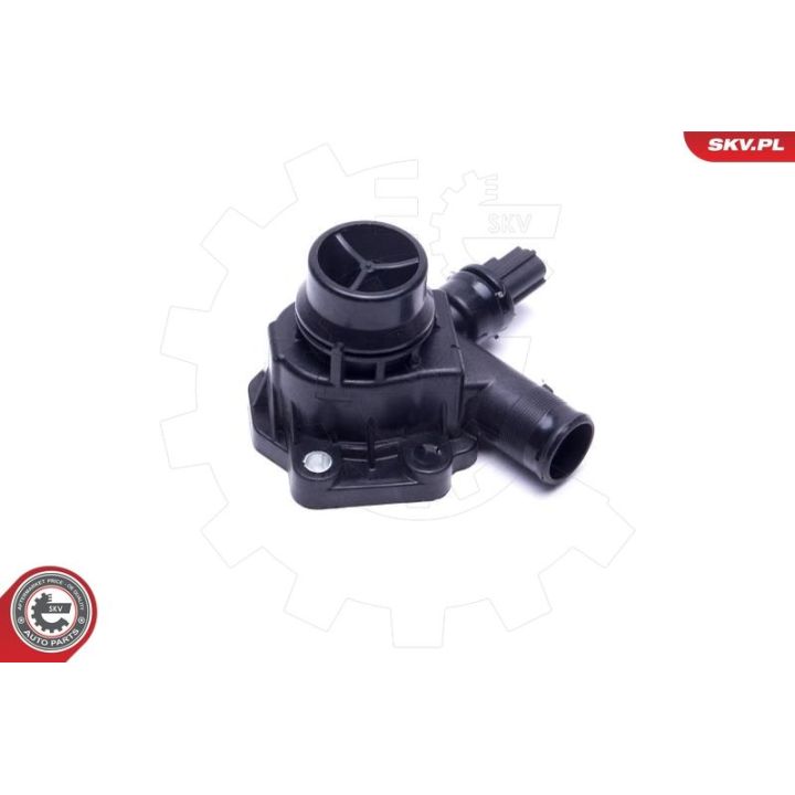 Termostatas, aušinimo skystis ESEN SKV 20SKV170