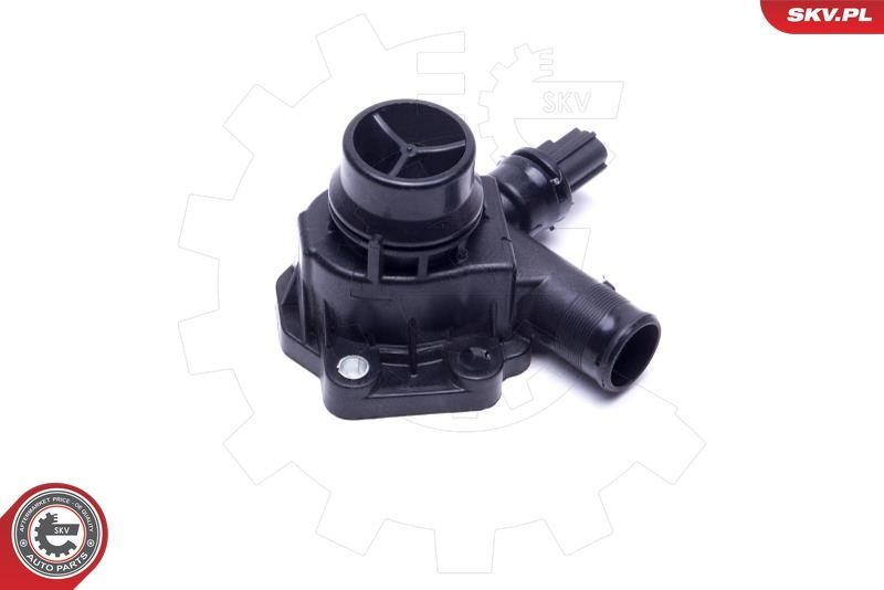 Termostatas, aušinimo skystis ESEN SKV 20SKV170