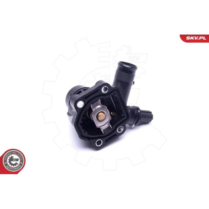 Termostatas, aušinimo skystis ESEN SKV 20SKV170