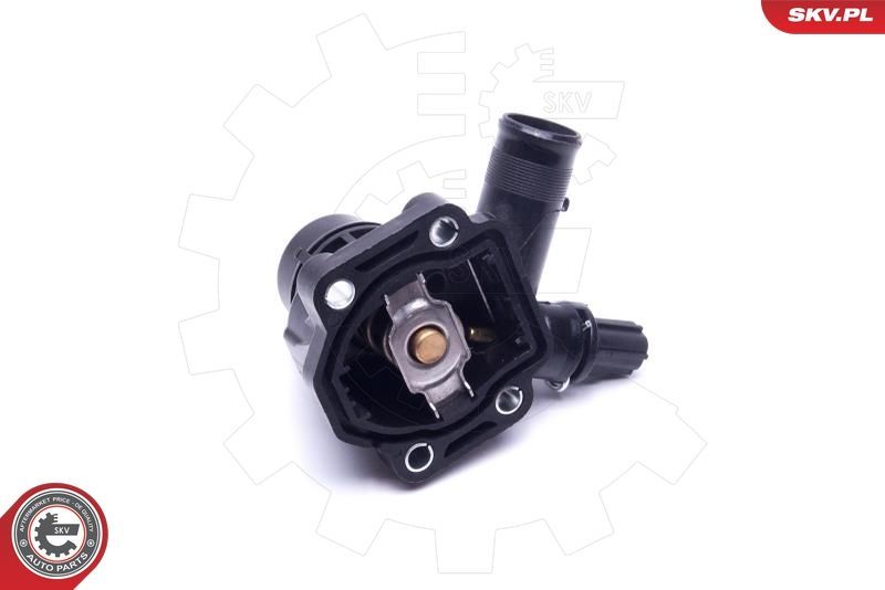 Termostatas, aušinimo skystis ESEN SKV 20SKV170