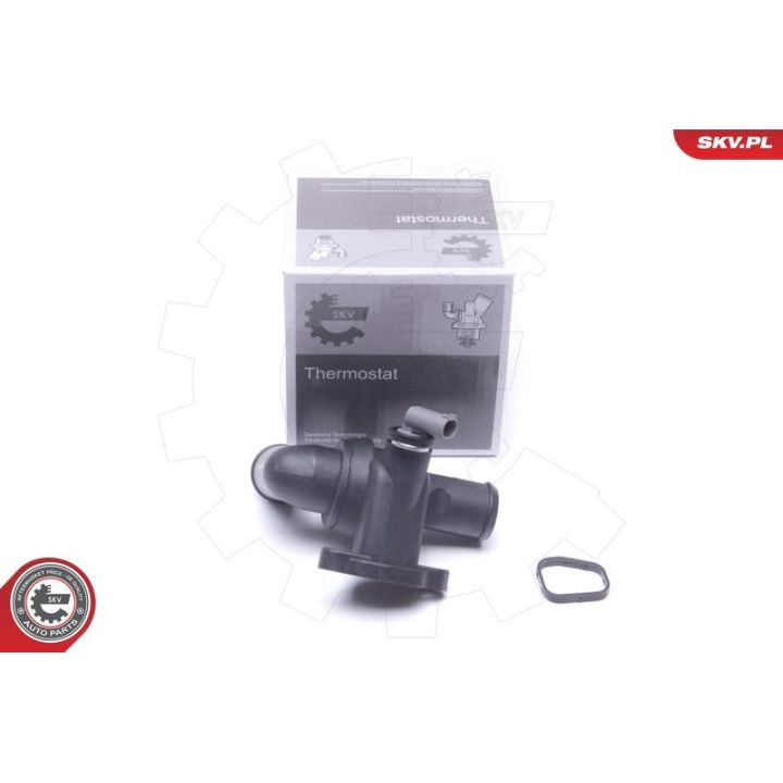 Termostatas, aušinimo skystis ESEN SKV 20SKV172