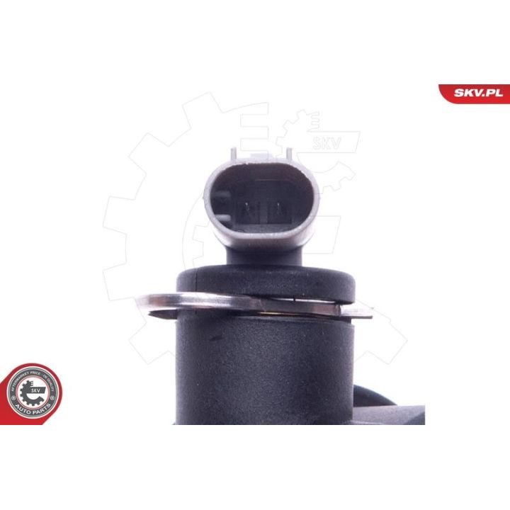 Termostatas, aušinimo skystis ESEN SKV 20SKV172