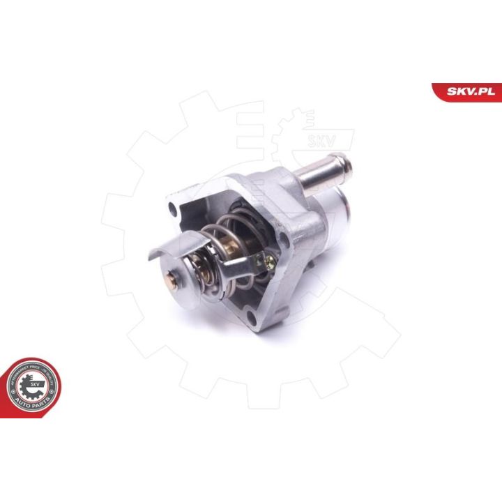 Termostatas, aušinimo skystis ESEN SKV 20SKV173