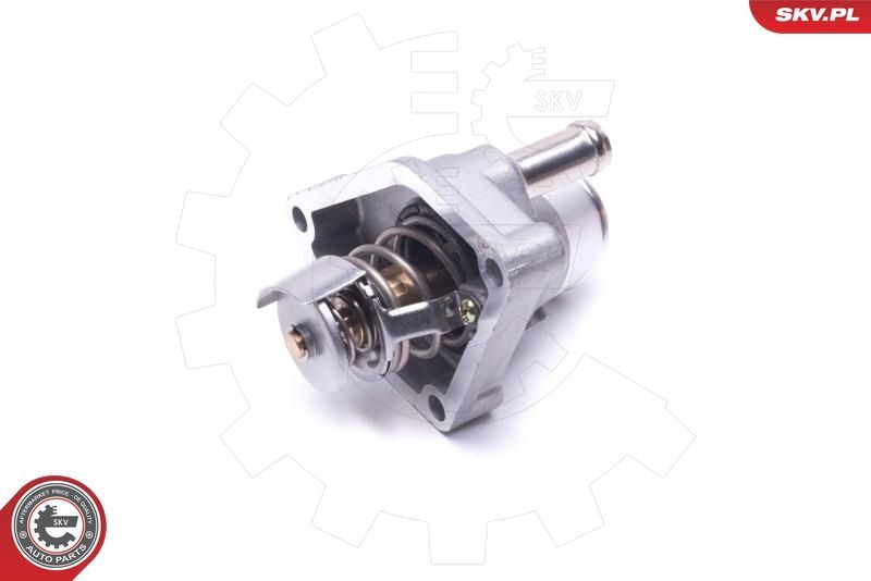 Termostatas, aušinimo skystis ESEN SKV 20SKV173