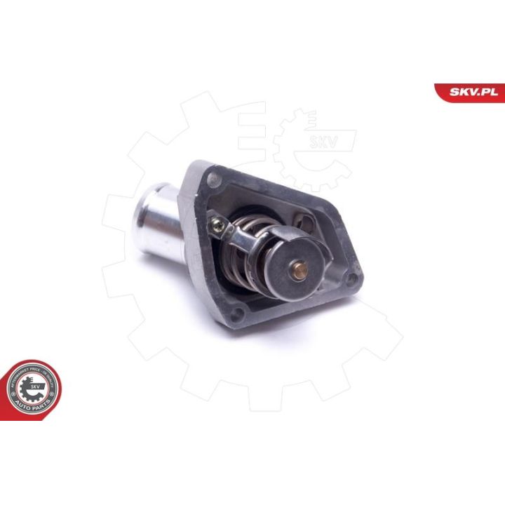 Termostatas, aušinimo skystis ESEN SKV 20SKV173