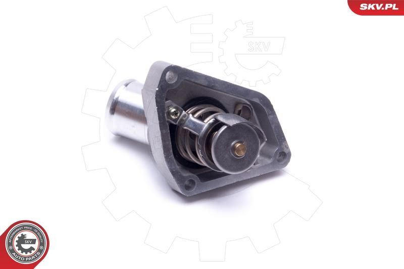 Termostatas, aušinimo skystis ESEN SKV 20SKV173