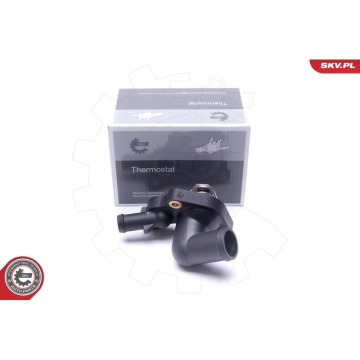 Termostatas, aušinimo skystis ESEN SKV 20SKV180