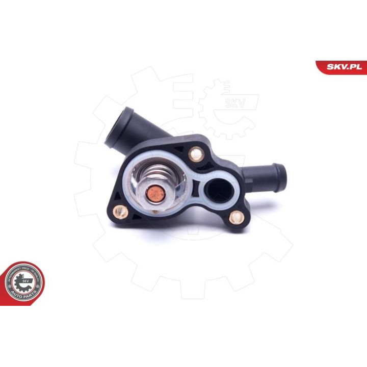 Termostatas, aušinimo skystis ESEN SKV 20SKV180