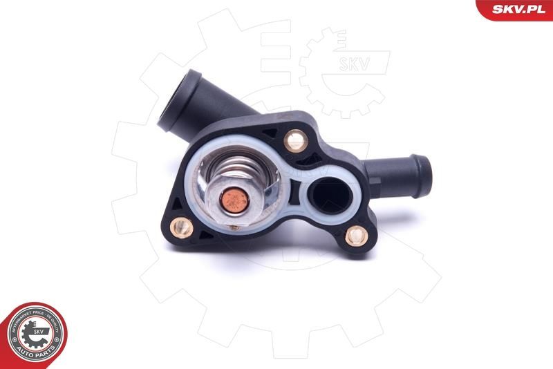 Termostatas, aušinimo skystis ESEN SKV 20SKV180