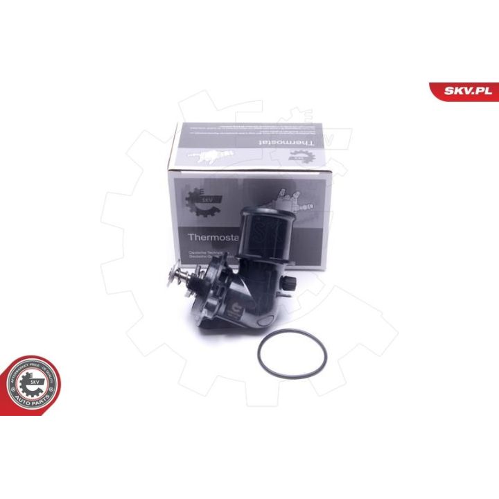 Termostatas, aušinimo skystis ESEN SKV 20SKV184