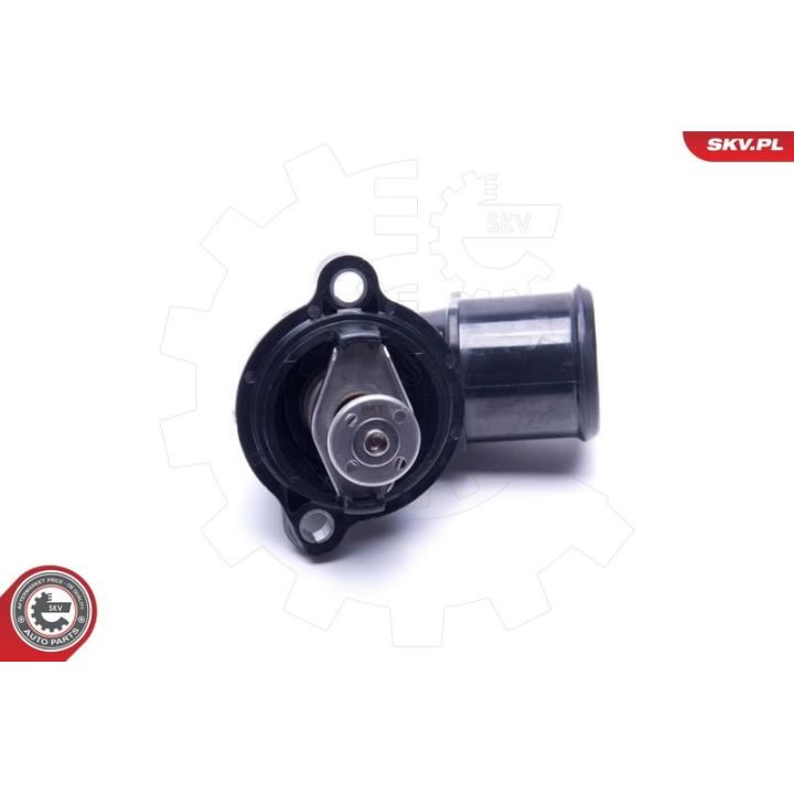 Termostatas, aušinimo skystis ESEN SKV 20SKV184