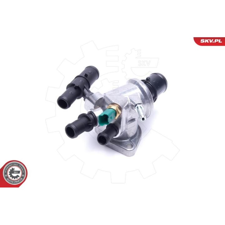 Termostatas, aušinimo skystis ESEN SKV 20SKV186