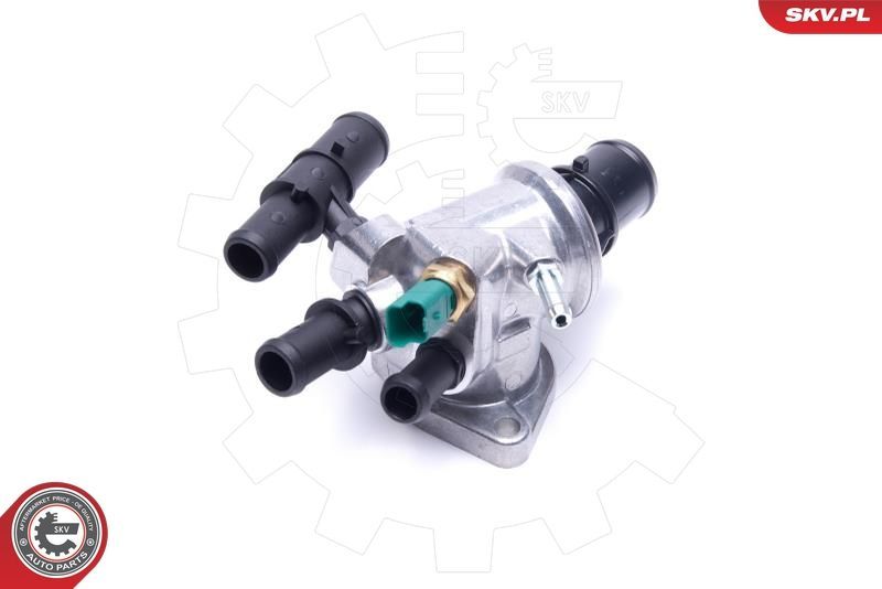 Termostatas, aušinimo skystis ESEN SKV 20SKV186