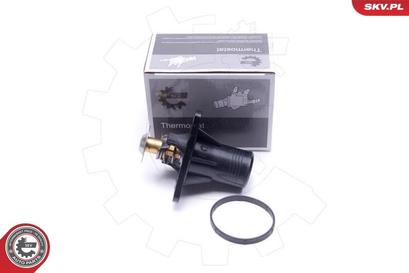 Termostatas, aušinimo skystis ESEN SKV 20SKV193