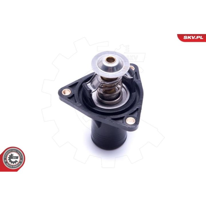 Termostatas, aušinimo skystis ESEN SKV 20SKV193