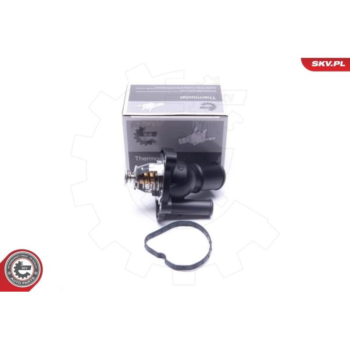 Termostatas, aušinimo skystis ESEN SKV 20SKV194