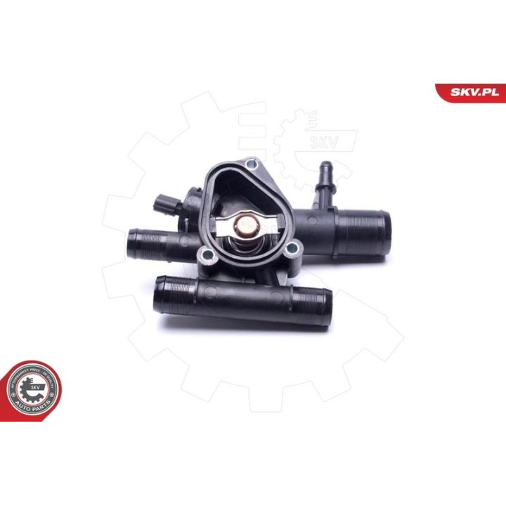 Termostatas, aušinimo skystis ESEN SKV 20SKV204