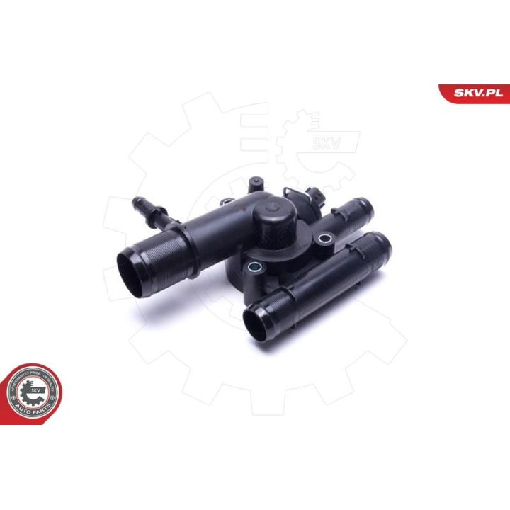 Termostatas, aušinimo skystis ESEN SKV 20SKV204