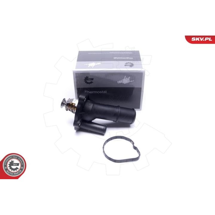 Termostatas, aušinimo skystis ESEN SKV 20SKV209