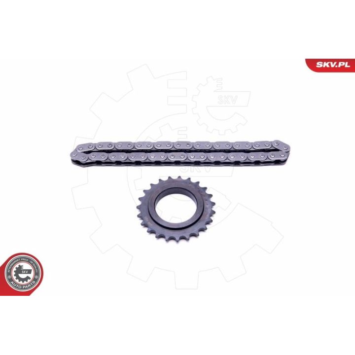 Grandinių rinkinys, alyvos siurblio pavara ESEN SKV 21SKV100
