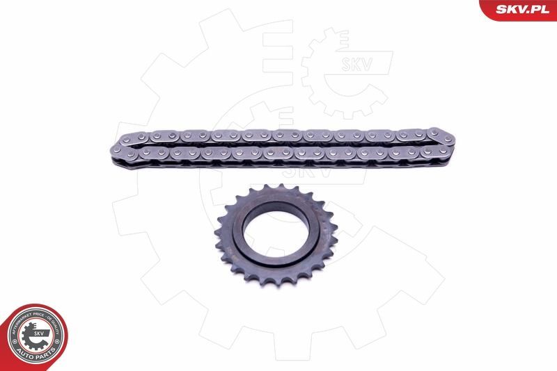 Grandinių rinkinys, alyvos siurblio pavara ESEN SKV 21SKV100