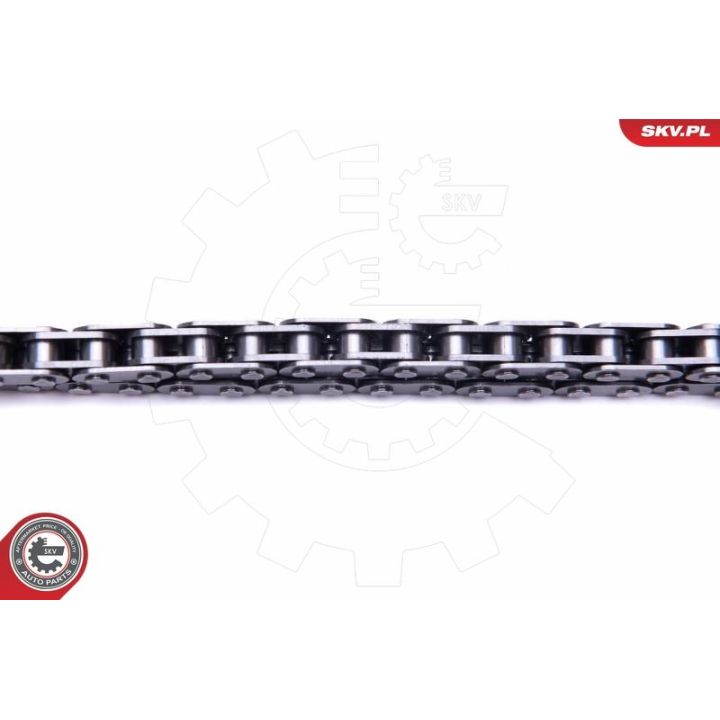 Grandinių rinkinys, alyvos siurblio pavara ESEN SKV 21SKV100