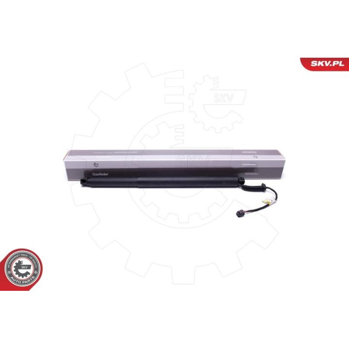 Galinių durų elektros variklis ESEN SKV 52SKV913