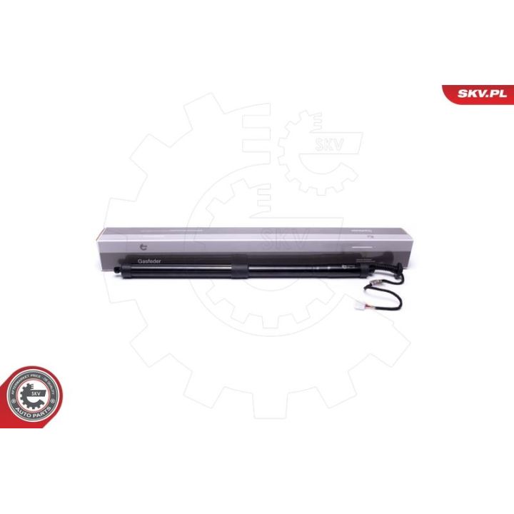 Galinių durų elektros variklis ESEN SKV 52SKV915