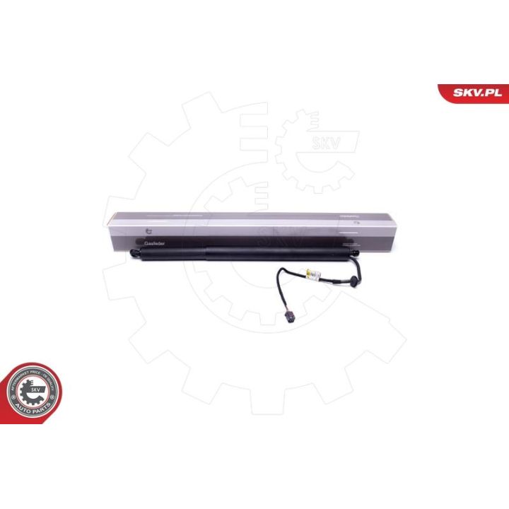 Galinių durų elektros variklis ESEN SKV 52SKV917