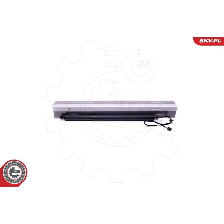 Galinių durų elektros variklis ESEN SKV 52SKV918